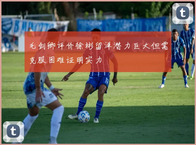 毛剑卿评价徐彬留洋潜力巨大但需克服困难证明实力