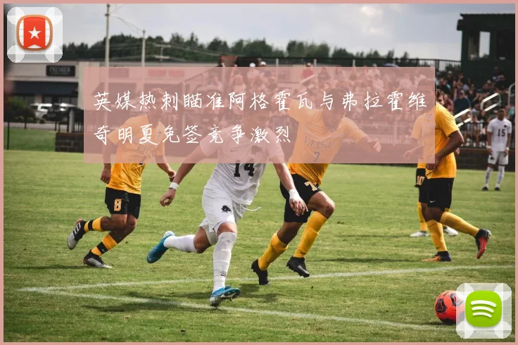 英媒热刺瞄准阿格霍瓦与弗拉霍维奇明夏免签竞争激烈
