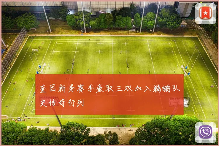 奎因新秀赛季豪取三双加入鹈鹕队史传奇行列